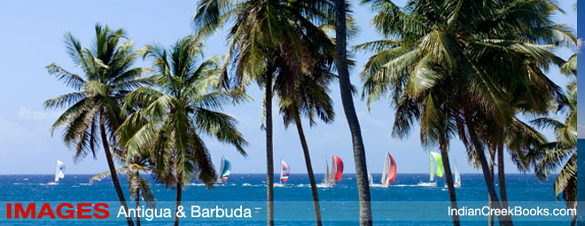 Antigua Sailing Week Alexis Andrews