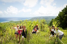 Antigua Services: Sunlinc