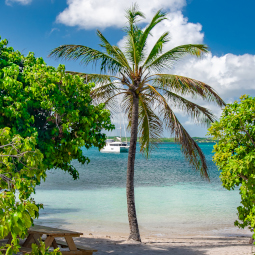 Antigua Restaurants & Bars: The Reef Restaurant on Green Island