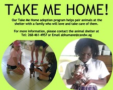 Antigua & Barbuda Humane Society - Antigua Organisations provides a  Animal Sanctuary for large animals (donkeys and horses), rabbits and small ruminants (sheep and goats). We also have an Animal Shel