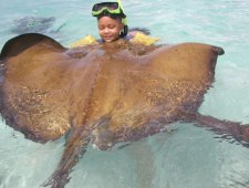 Stingray City,Antigua things to do: Happy Visitors at Stingray City