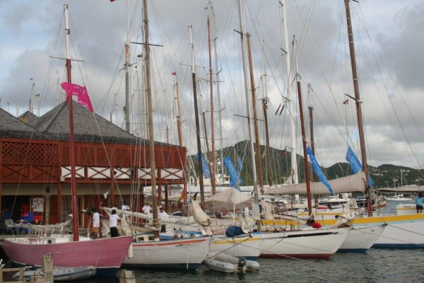 Palm Island Pink Ladies Gallery