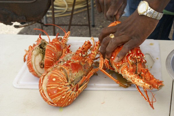 Food and Drink Guide