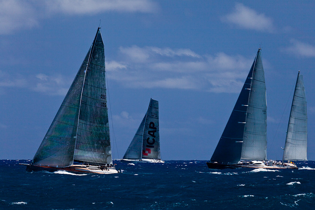 Photography by Diane Morley-Ham