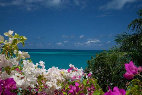 Antigua Holiday Villas  Gallery