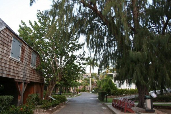 Middle Ground Gallery